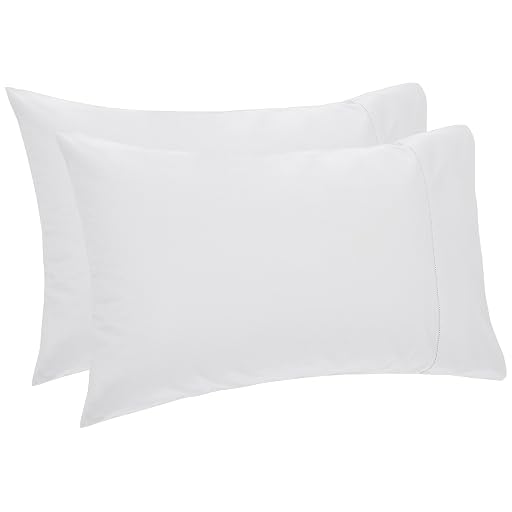 Pinzon Hemstitch Egyptian Cotton Pillowcases, Standard, Light Grey