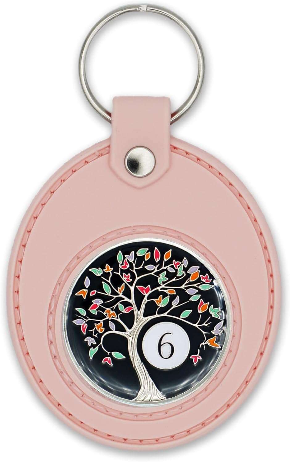 6 Year Tree of Life Sobriety Chip with Pink AA Coin Holder Keychain Set