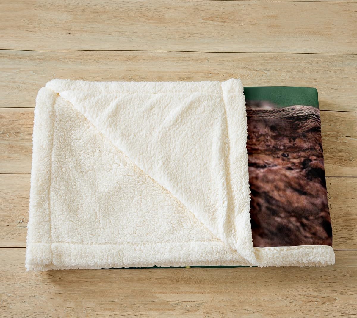 Manfei Mantis Flannel Fleece Blanket for Couch Sofa Malaysia Green Praying Mantis Throw Blanket Insect Theme Bed Throws for Kids Boys Teens Lightweight Fuzzy Blanket, Queen Size (90 x 90 Inches)