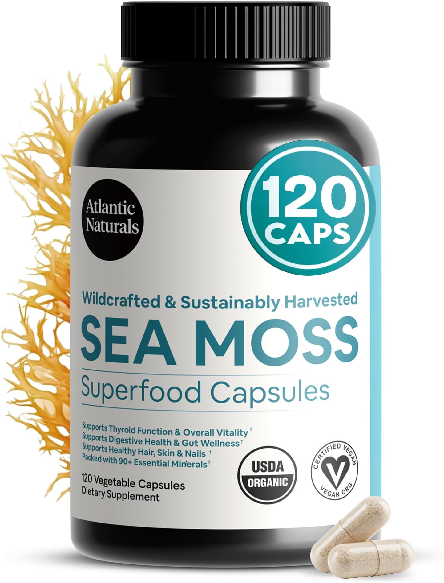 Atlantic Naturals Superfood Organic Irish Sea Moss Capsules - 120 Veggie Capsules | Wildcrafted Organic Sea Moss Supplement for Men & Women | Better Than Sea Moss Gel | Support Immunity & Skin, 1000mg