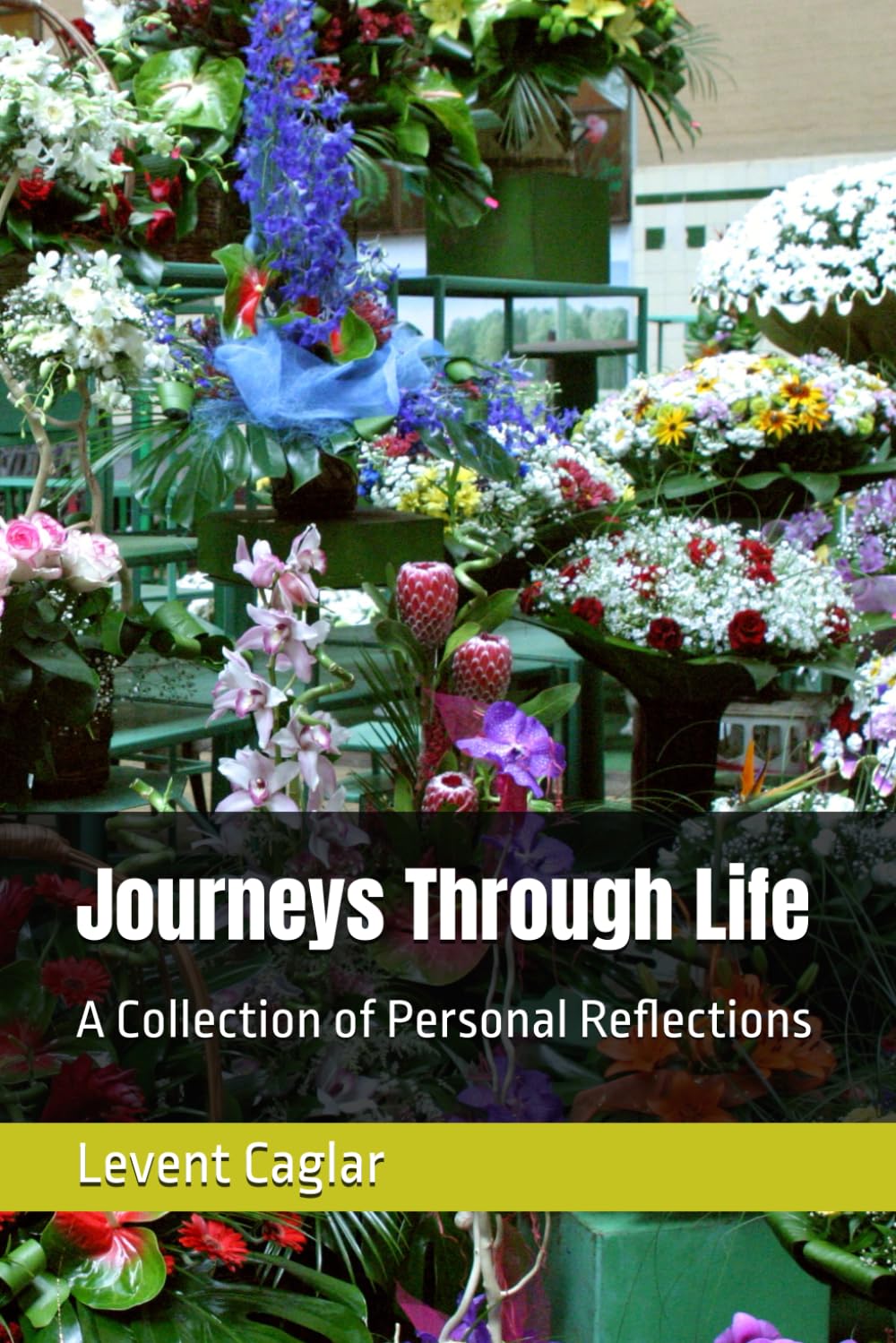 Journeys Through Life: A Collection of Personal Reflections