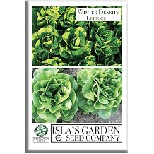 Winter Density Lettuce Seeds Winter Gem 1000+ Non-GMO & Heirloom Seeds, Lactuca Sativa, Crisp Romaine-Butterhead Hybrid, Cool Season Variety, by Islas Garden Seeds, Gift Idea for Home Gardens