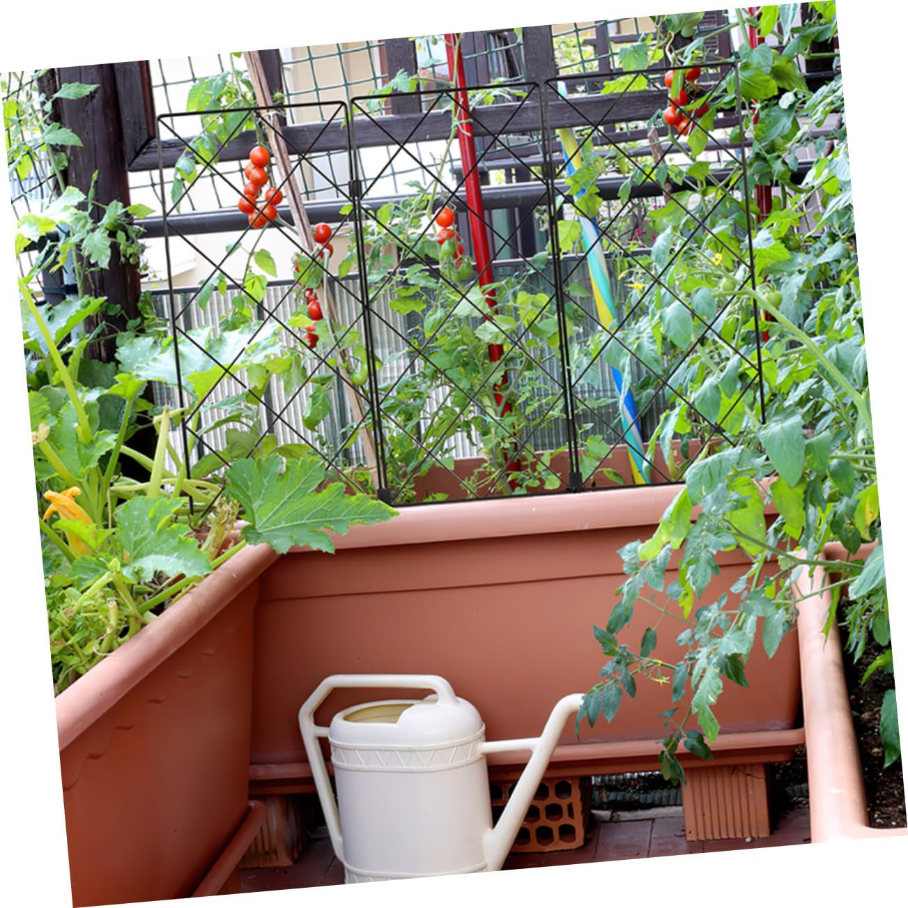 2pcs Plant Trellis Garden Support Bracket for Climbing Vines and Tomatoes