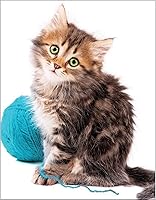 Vista 267 de Mapa de Europa