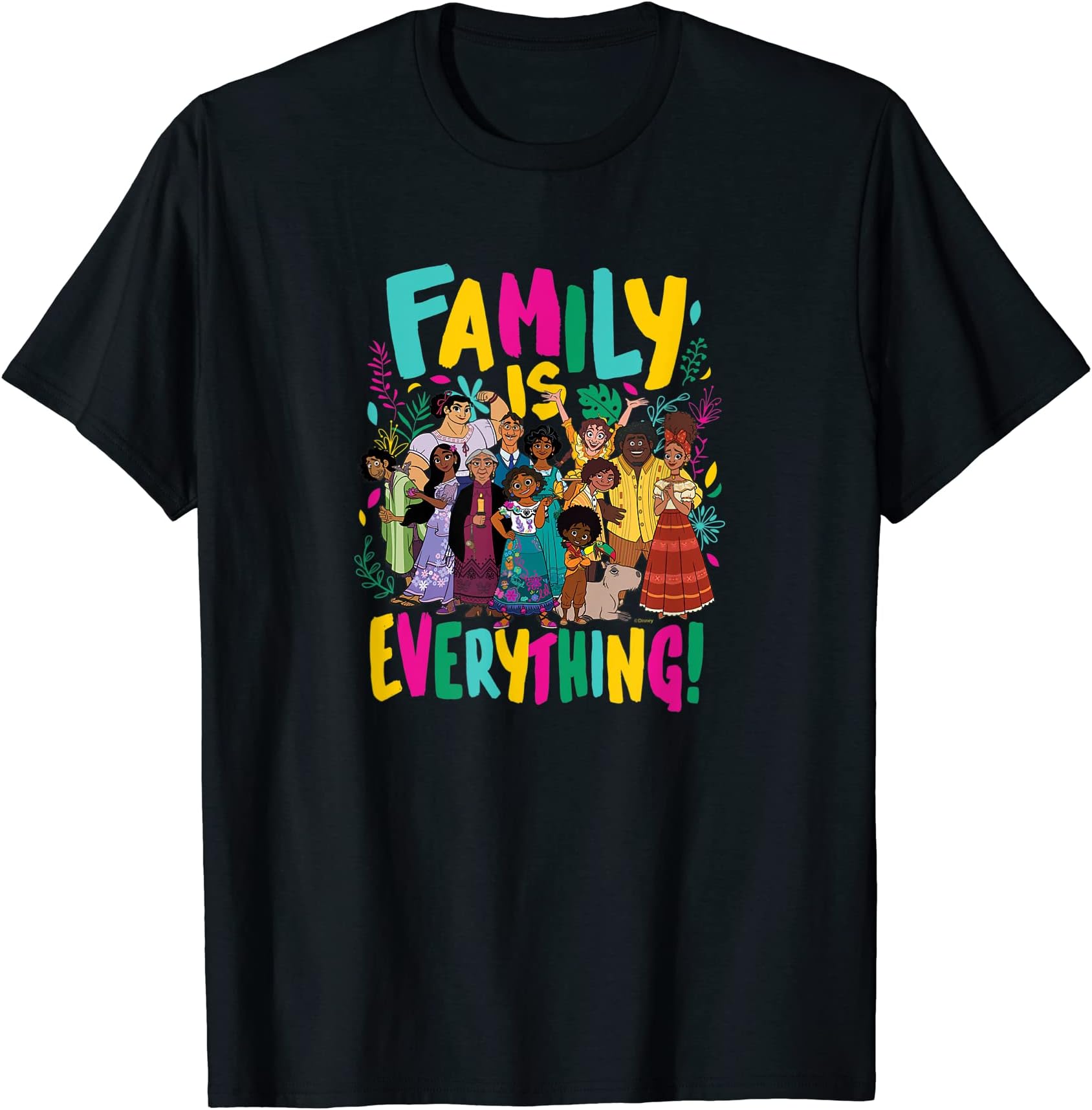 DisneyEncanto - Family Is Everything! T-ShirtOEKO-TEX STANDARD 100