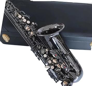 saxophone Kit E-flat Alto Saxophone Nickel-plated Black Engraved Pattern Jazz Instrument Alto Sax With Case Color Leather bag