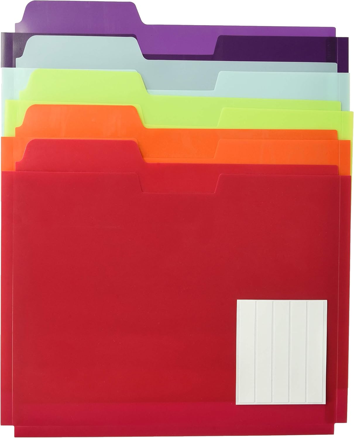 GlobeWeis Poly File Folder Pockets, Letter Size, Assorted