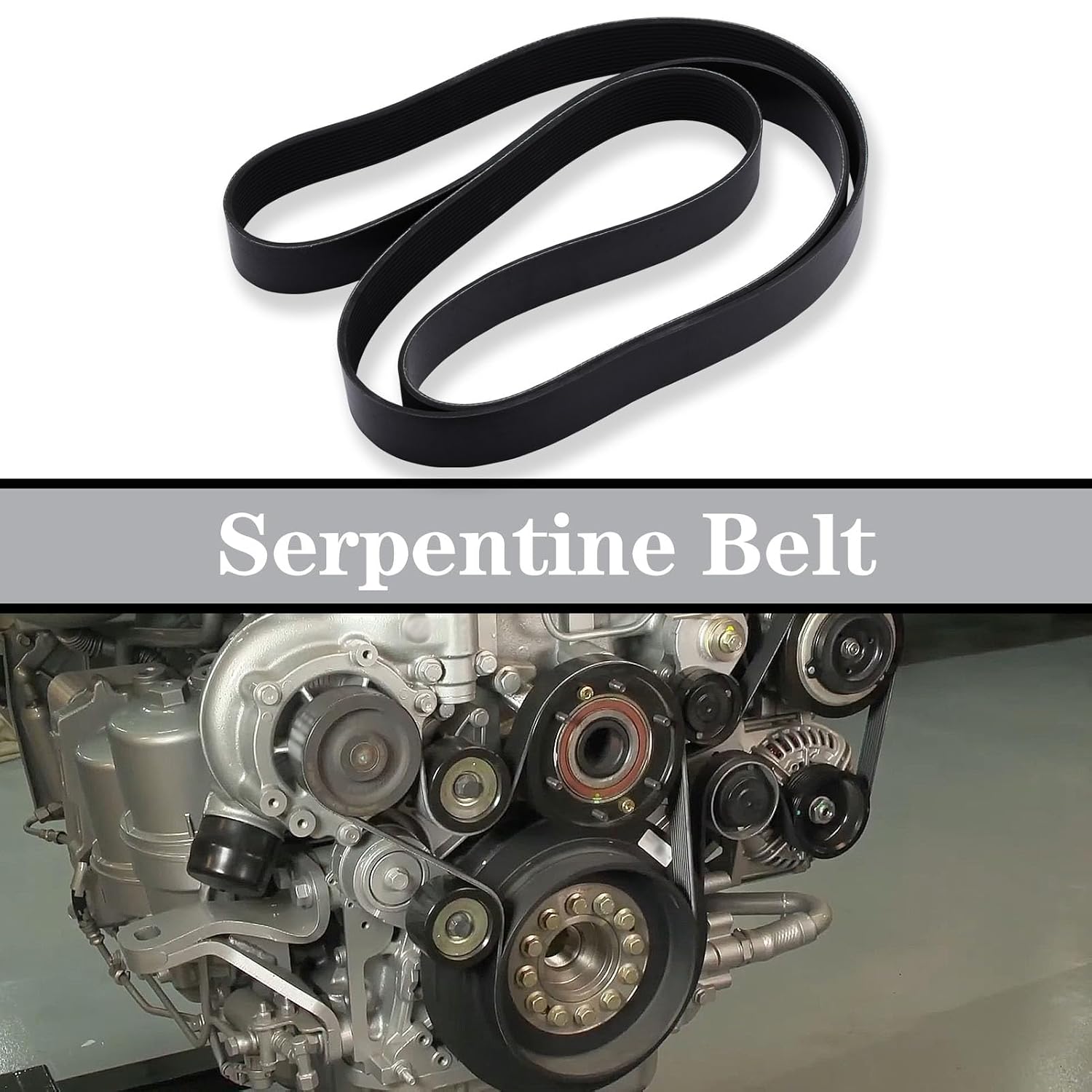 D84-1000-6122310 Serpentine Belt Fit for Paccar Kenworth Peterbilt, Replace D8410006122310