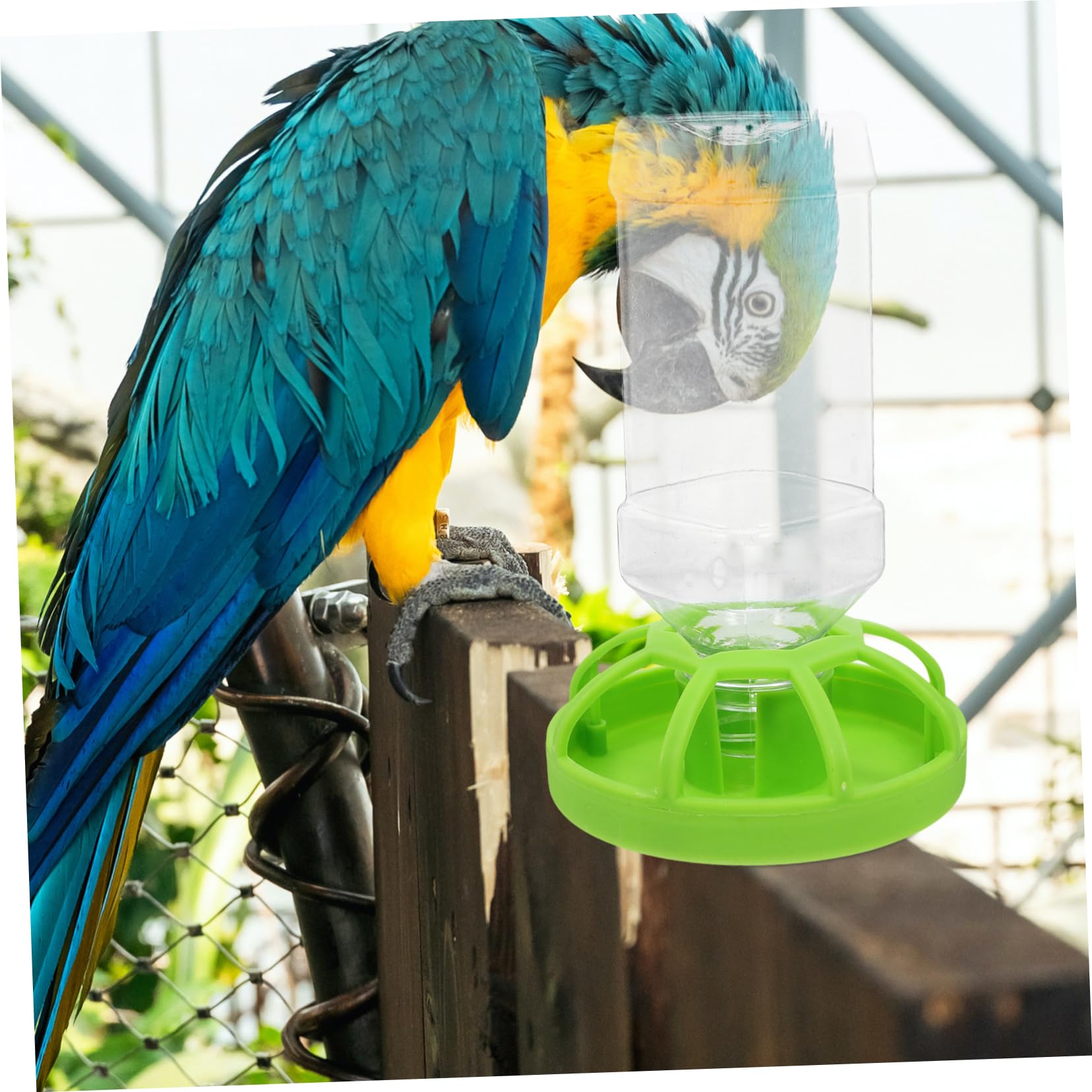 VANZACK 5pezzi Mangiatoia Per Uccelli Trasparente Con Supporto Alimentatore Automatico Per Pappagalli e Cocorite Facile Da Riempire e Pulire Giocattolo Interattivo Per La Degli Uccelli