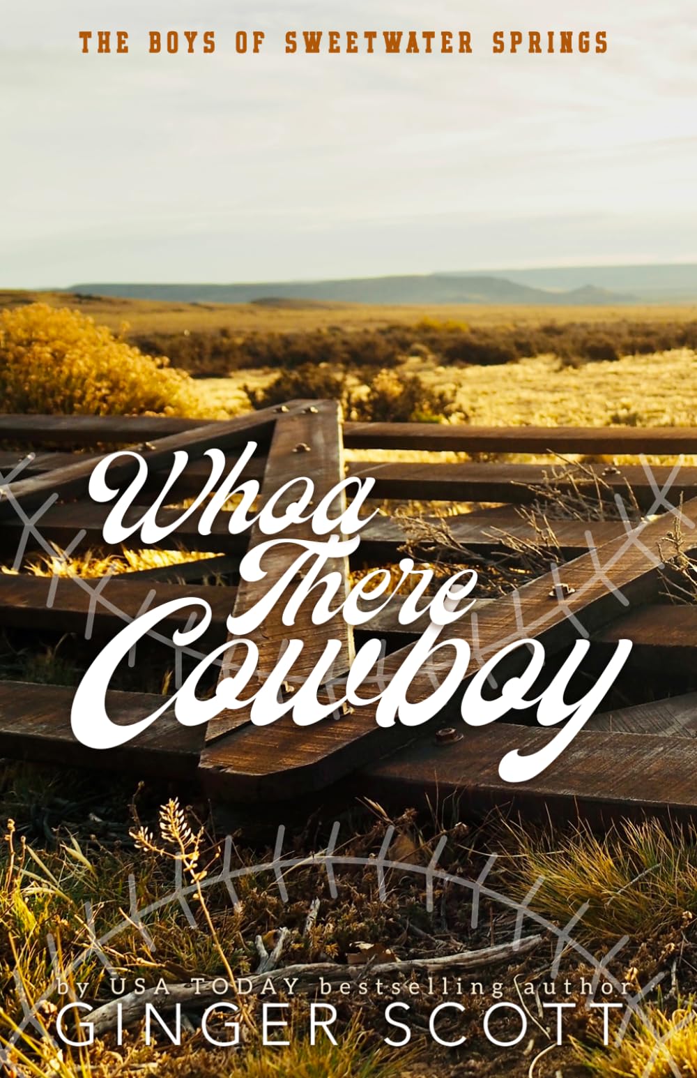 Whoa There Cowboy: A grumpy-sunshine, opposites attract, small-town baseball romance (The Boys of Sweetwater Springs)