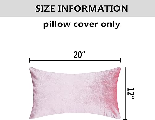 Vista 97 de Home Brilliant Fundas de almohada color verde azulado súper suaves cuadradas de terciopelo azul para sofá, dormitorio de niñas pequeñas, 18 x 18