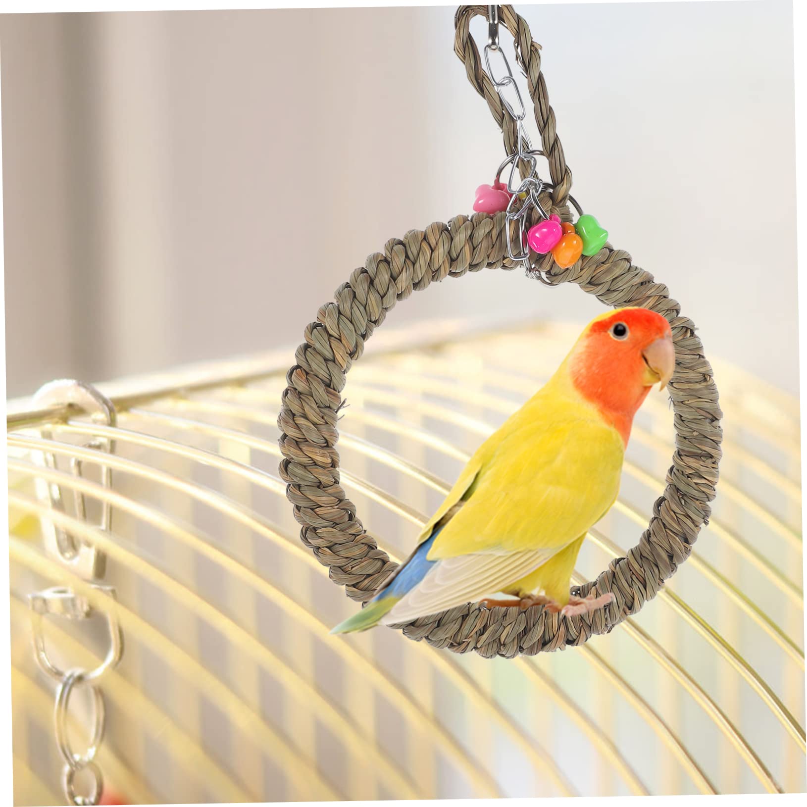 minkissy 5 Pezzi Supporto Per Trespolo Per Pappagalli Altalena Per Uccelli Giocattolo Per Calopsitte Set Da Gioco Decorativo Per Gabbia Per Uccelli