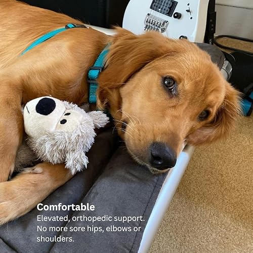 Miniatura 4 de Kuranda Cama Antimasticable - Aluminio Plateado - 25" x 18" - Nylon Balístico - Bosque