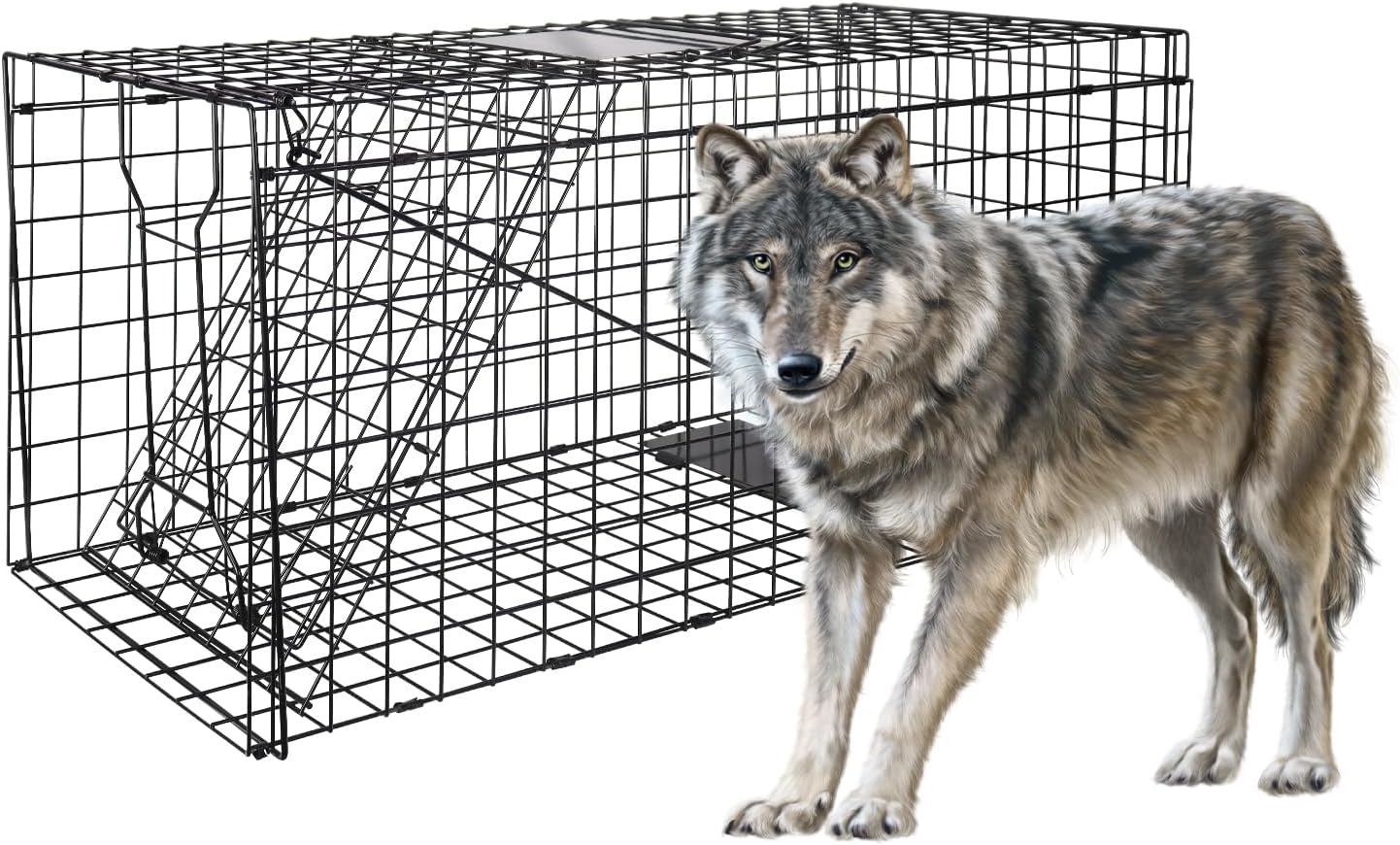VASALAID Live Animal Trap Cage, 51 X 19 X 17inch Catch and
