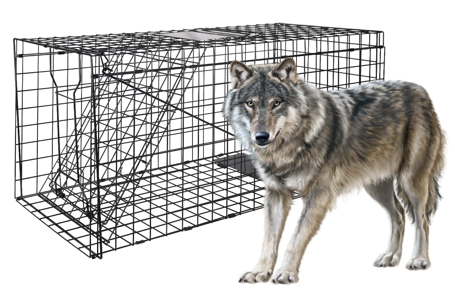Live Animal Trap Cage, 51 X 19 X 17 Catch And Release