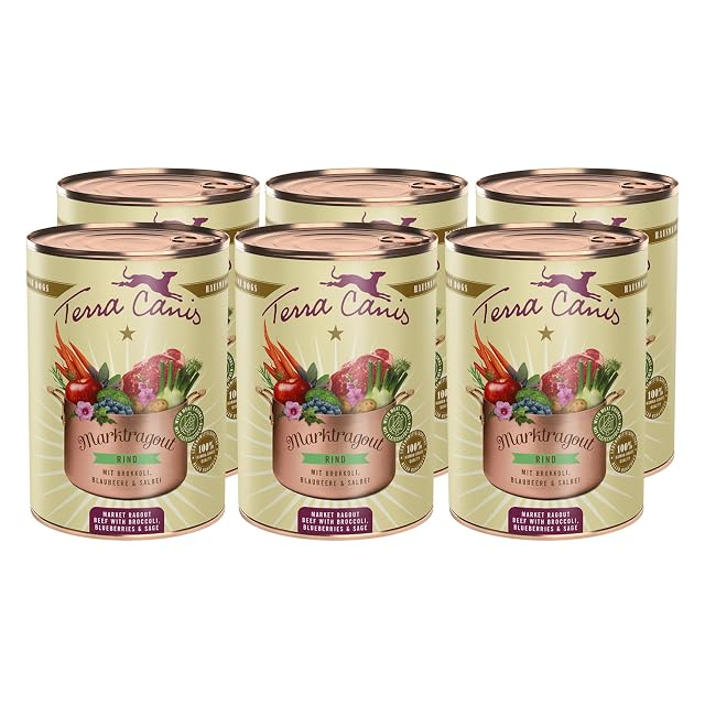 Terra Canis Buey con brócoli, Marktragout Comida para Perros, 6x385g