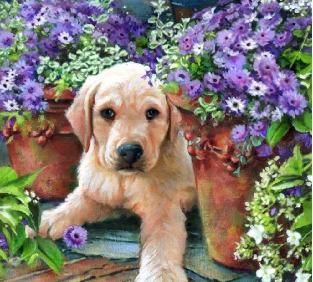 Peinture par numéros de chiens pour décorer une chambre d'adulte cocooning