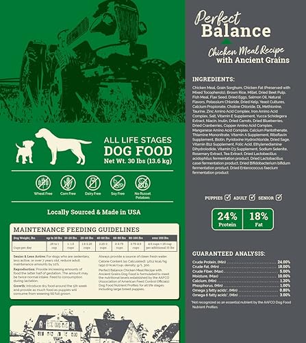 Miniatura 4 de Muenster Perfect Balance - Harina de pollo con granos antiguos  Alimento seco para perros sin gluten  croquetas completas y equilibradas para perros