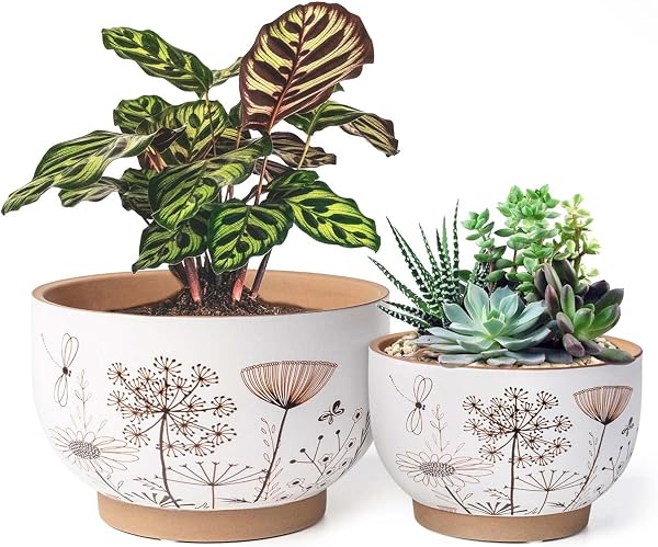 YBX セラミック植木鉢 8インチ&6インチセット