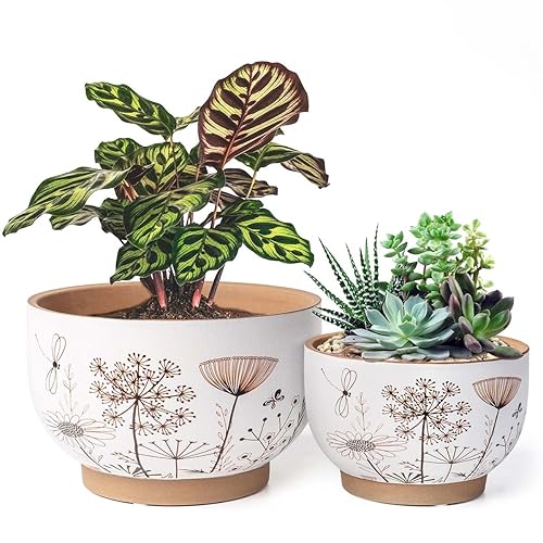 YBX 8 Inch + 6 Inch Ceramic Plant Pots, Succulent