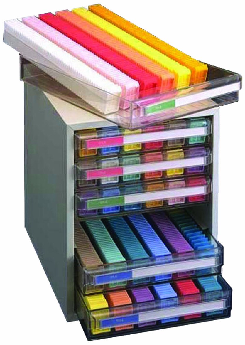 Thomas DB100-2CW Dispenser Storage Bin with Non-Slip Feet, 9-1/4" Height x 6-5/8" Width x 8-1/2" Depth, 400 Cassettes Hold Capacity