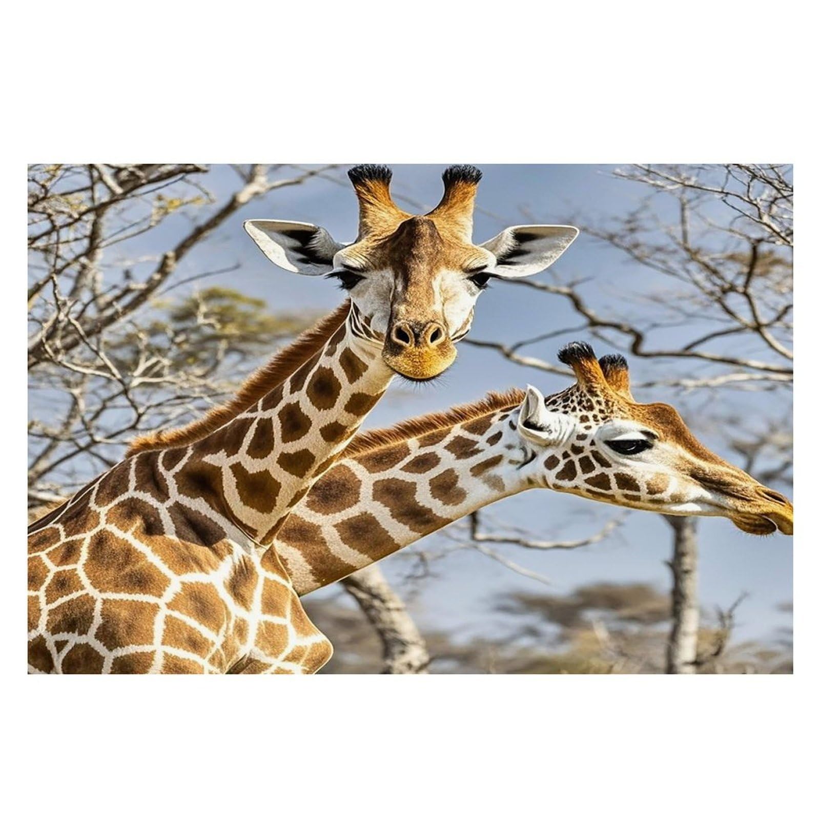 Giraffe Placemats Flax Place Mats for Dining Table Rectangle Non-Slip Table Mats Heat Resistant Washable Placemat for Kitchen Home Decor Party Outdoor 12" X 18"