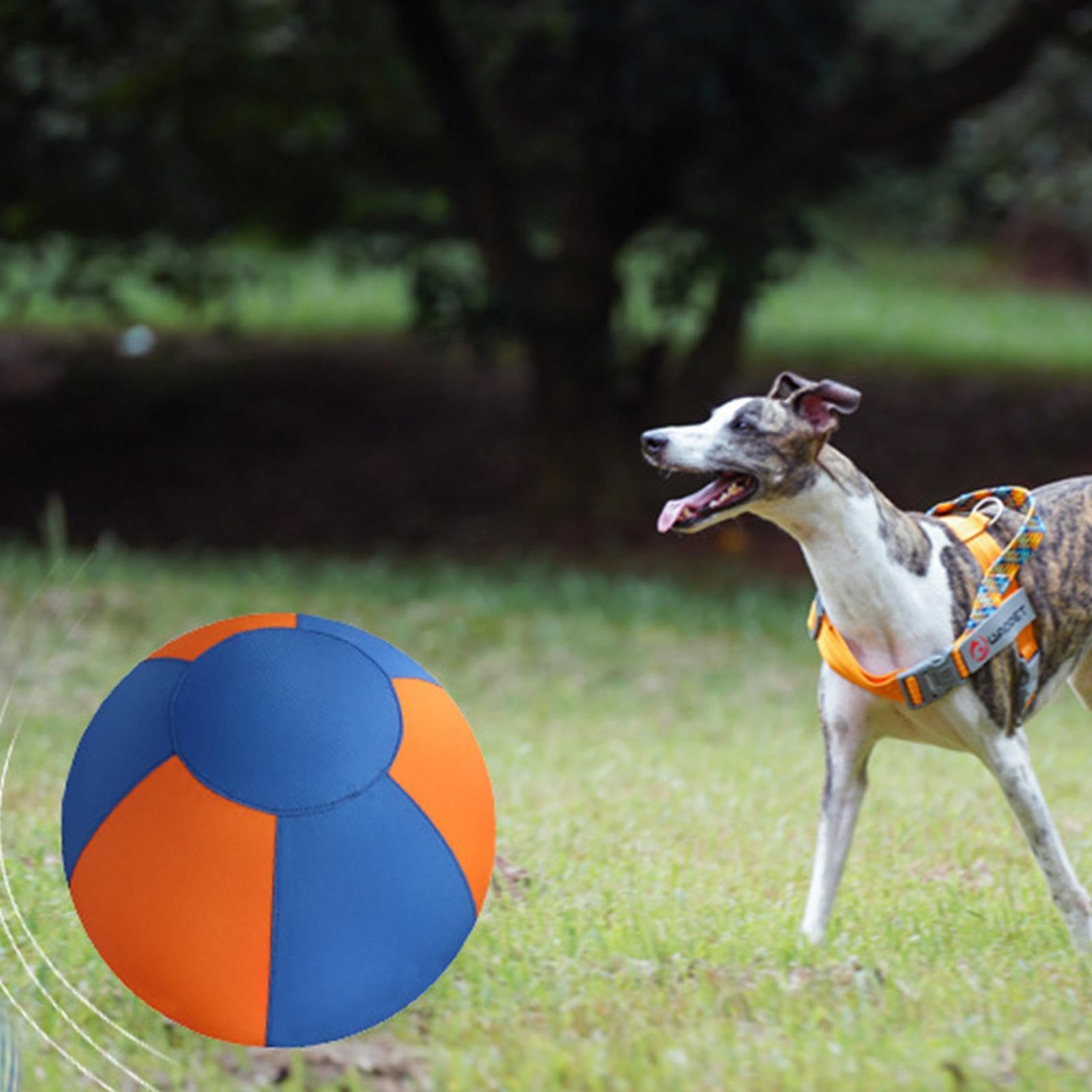 Balle Pour Chiens Mâcheurs Puissants Balles à Rapporter pour Chien