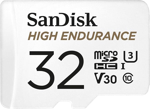 SanDisk HIGH ENDURANCE Video Monitoring for Dashcams & Home