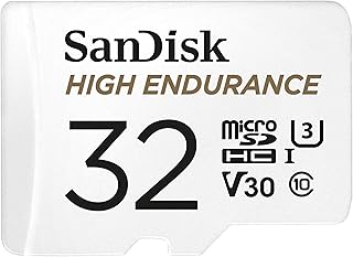 SanDisk