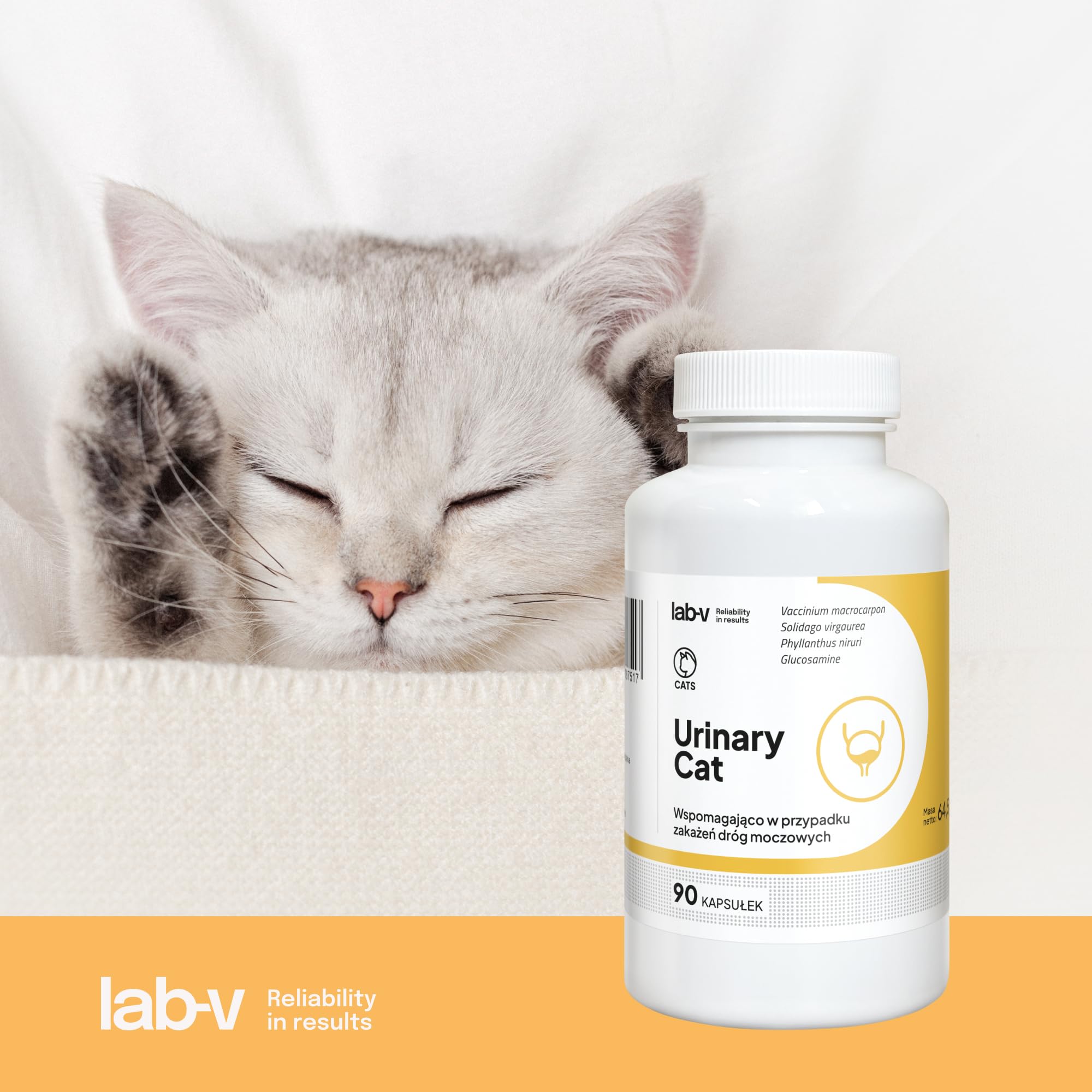 Lab-V Urinary Cat – Ergänzungsfuttermittel für Katzen zur Unterstützung der Harnwege – 90 Kapseln – mit Cranberry & DL-Methionin – ohne künstliche Zusatzstoffe