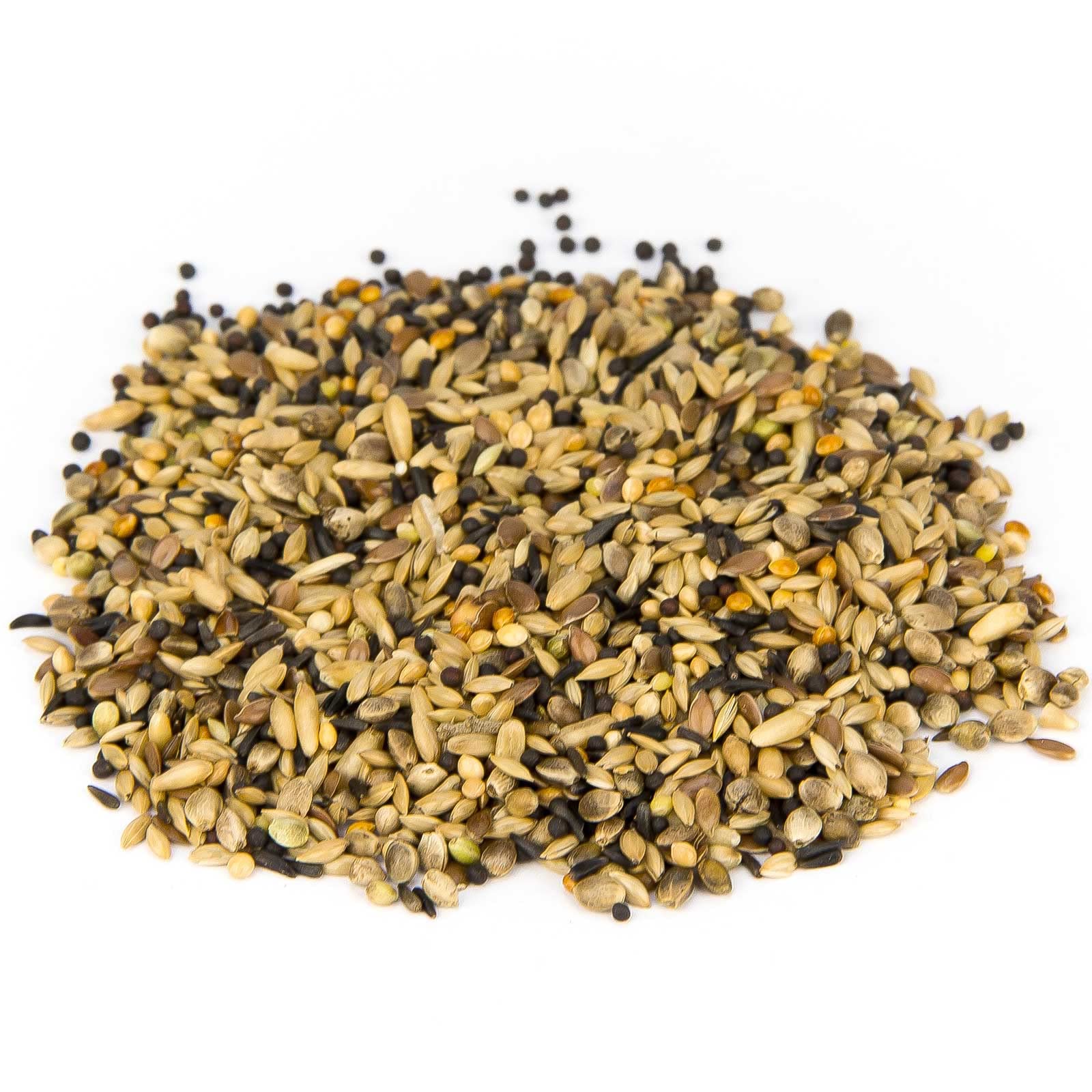 Leimüller Kanarienfutter Spezial 25 kg Kanarien Vögel Gesang Sittiche | Sämereien-Mischung, staubfrei, gentechnikfrei, ohne Zusatzstoffe, Österreich