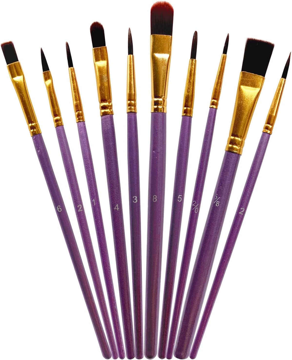 1 Pack 10 Pcs Paint Brushes, Nylon Hair Paint Brushes Set for Kids, Beginner, Suitable for Oil, Watercolor, Acrylic Paint and Body Pinting, Purple