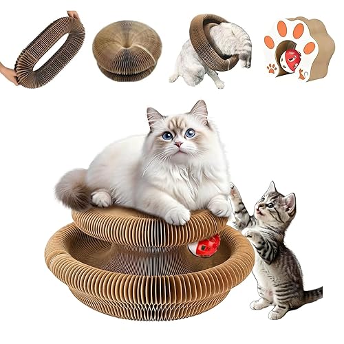 Kitty Curls Cat Toy,Magic Organ Cat Toy,Magic Organ Cat Scratcher