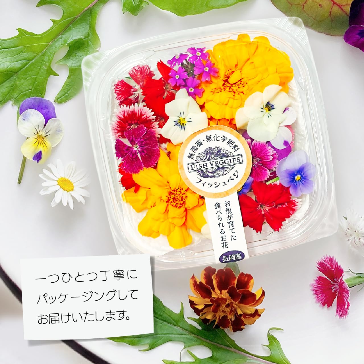 Amazon.co.jp: 【食べられるお花詰め合わせ】エディブルフラワー・化学