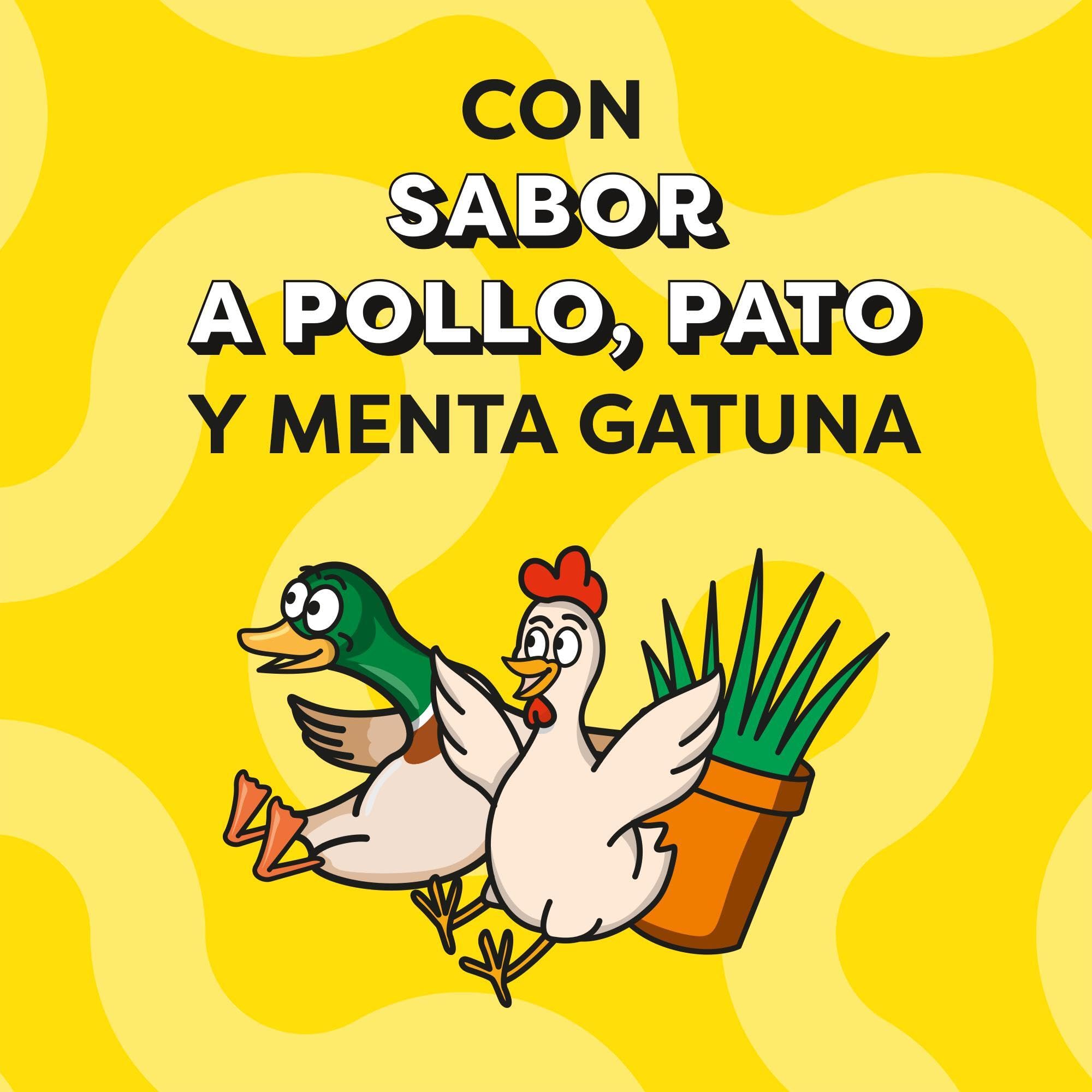 Catisfactions Premios para Gatos Sabor Aves a la Brasa 6x55g