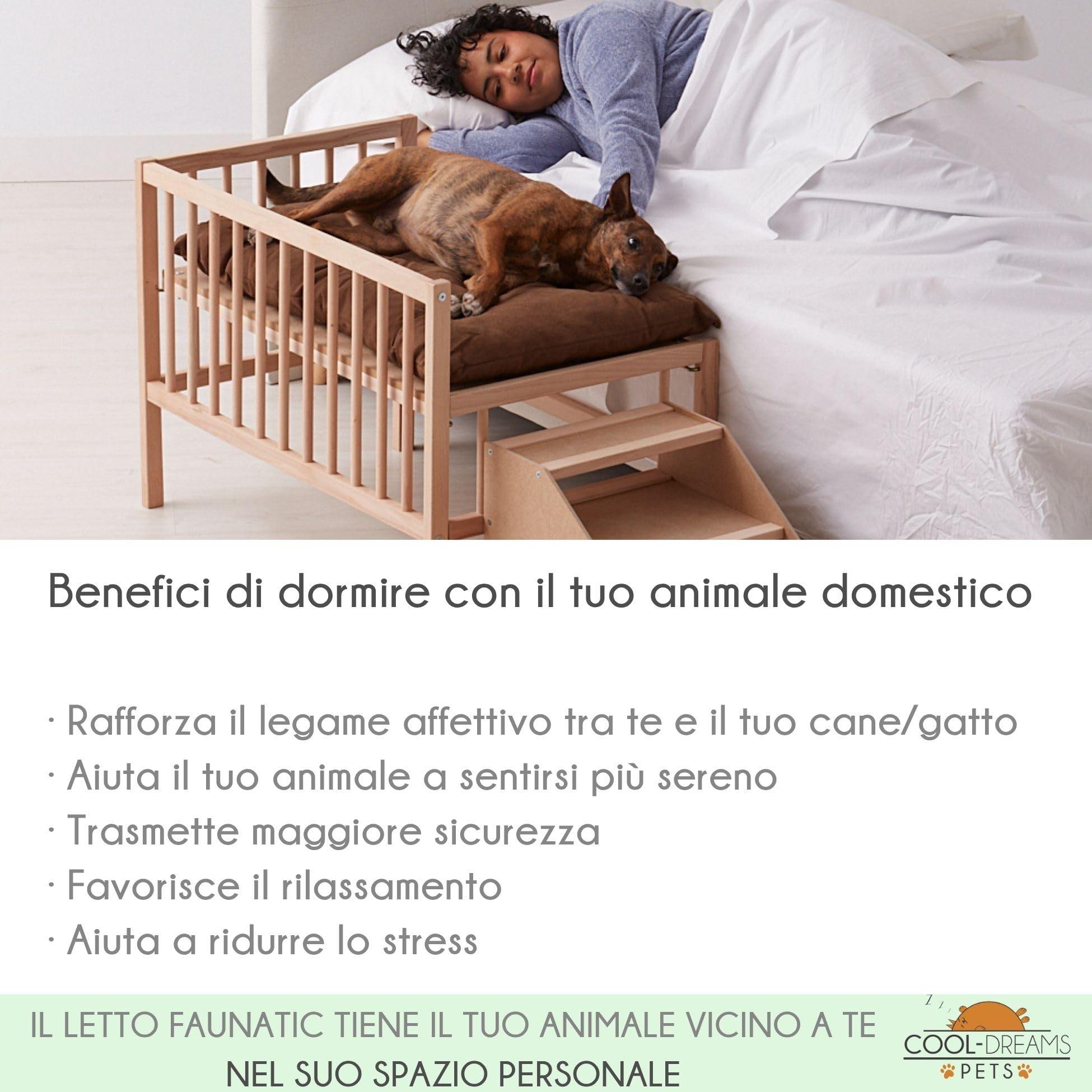 Letto rialzato Animali domestici con scala. con materasso incluso antigraffio. Colecho Accanto al tuo cane o gatto. 2 altezze. per animali domestici, medi, piccoli o anziani. Faunatic Basic CoolDreams
