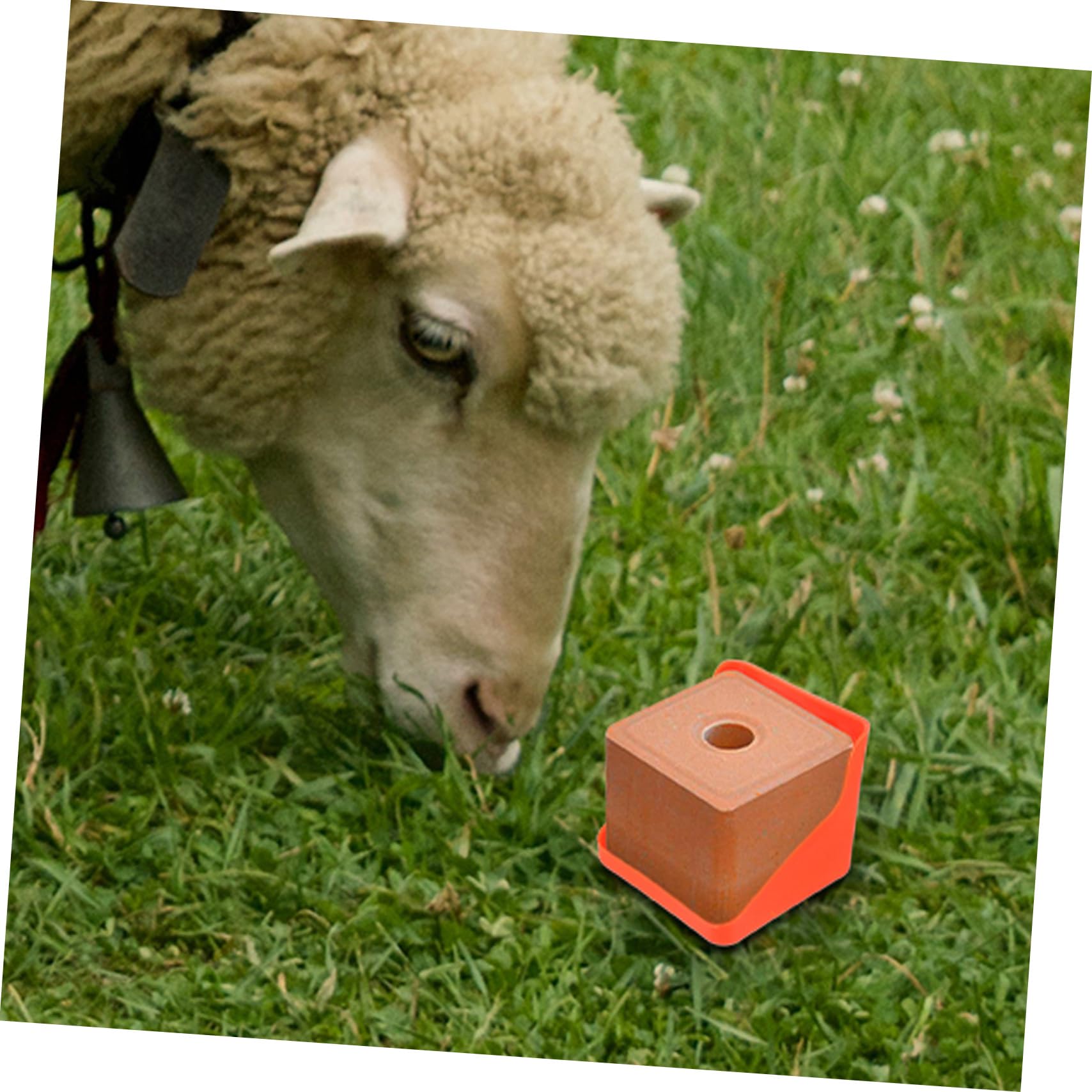 Yardwe Verdickter Salzblockhalter aus Robustem Pe für Nutztiere Viehsalzlecksteinhalter mit Verstärkter Futterschale für Rinder und Schafe dem Bauernhof