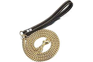 Sturdy Gold Dog Chain Leash