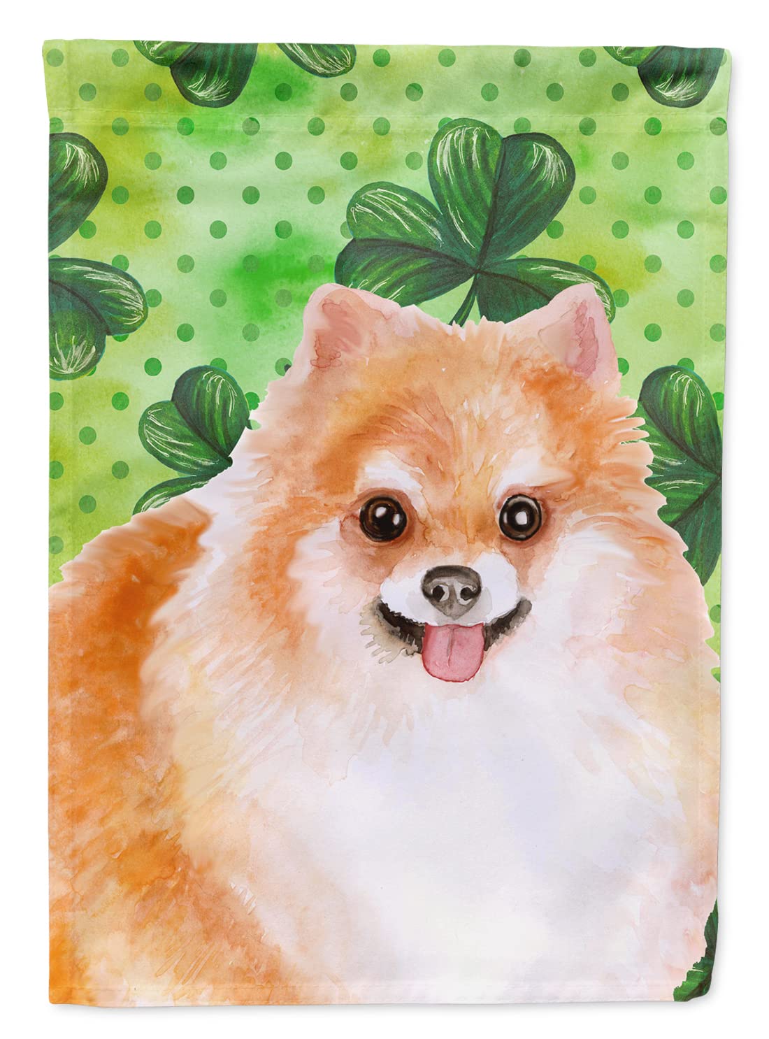 Pomeranian St Patrick's Flag grand drapeau en toile de maison multicolore BB9890CHF