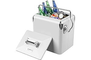 Polarbox Cooler Retro: A Blast from the Past for Modern Chilling