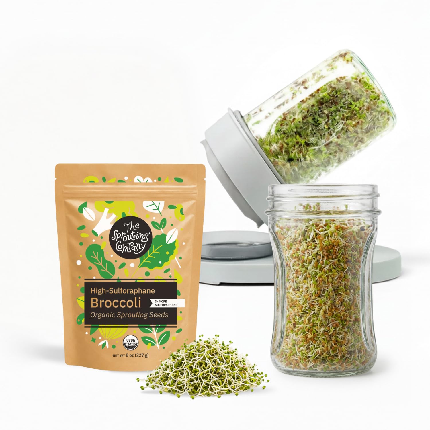 Photo 1 of The Sprouting Company Jar Sprouting Kit
