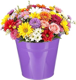 uxcell Mini Metal Buckets 18x13x16.5cm/7.09x5.12x6.5 Small Tin Dark Purple