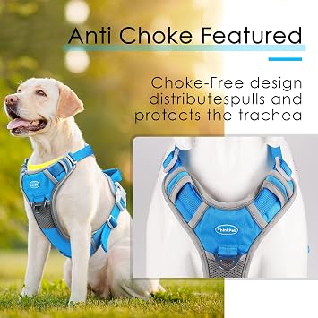 ThinkPet Çekme Koşum Takımı Nefes Alabilir Spor Koşum Takımı Kulp-Köpek Koşum Takımları Orta Büyük Köpekler için Yansıtıcı Ayarlanabilir, Kolay Kontrol için Arka/Ön Klips L Gök Mavisi