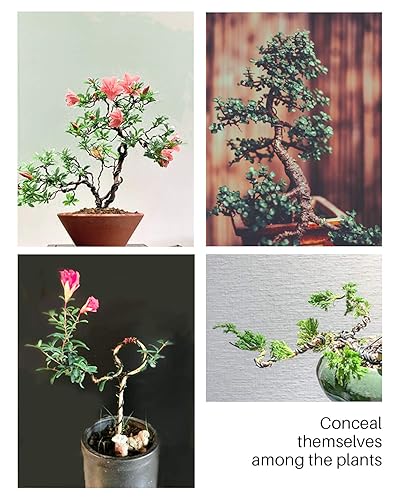 Miniatura 4 de 5Pcs Bonsai Wire and Bonsai Tool Kit, Total 164 Feet Bonsai Tree Wire for Bonzai Trees Indoor, 3 Size of 1-mm, 1.5-mm, 2-mm Aluminum