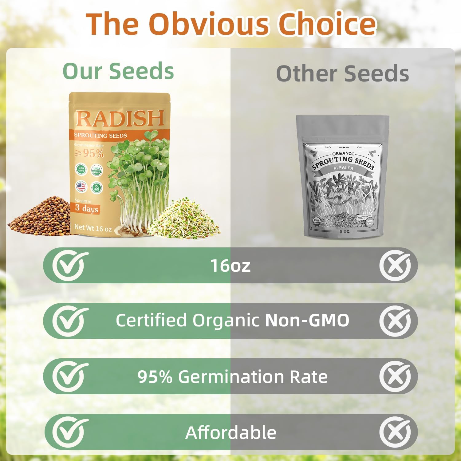 Seed Sprouting Kit with Mung Beans 80g and Organic Radish Sprout Seeds (16 oz)