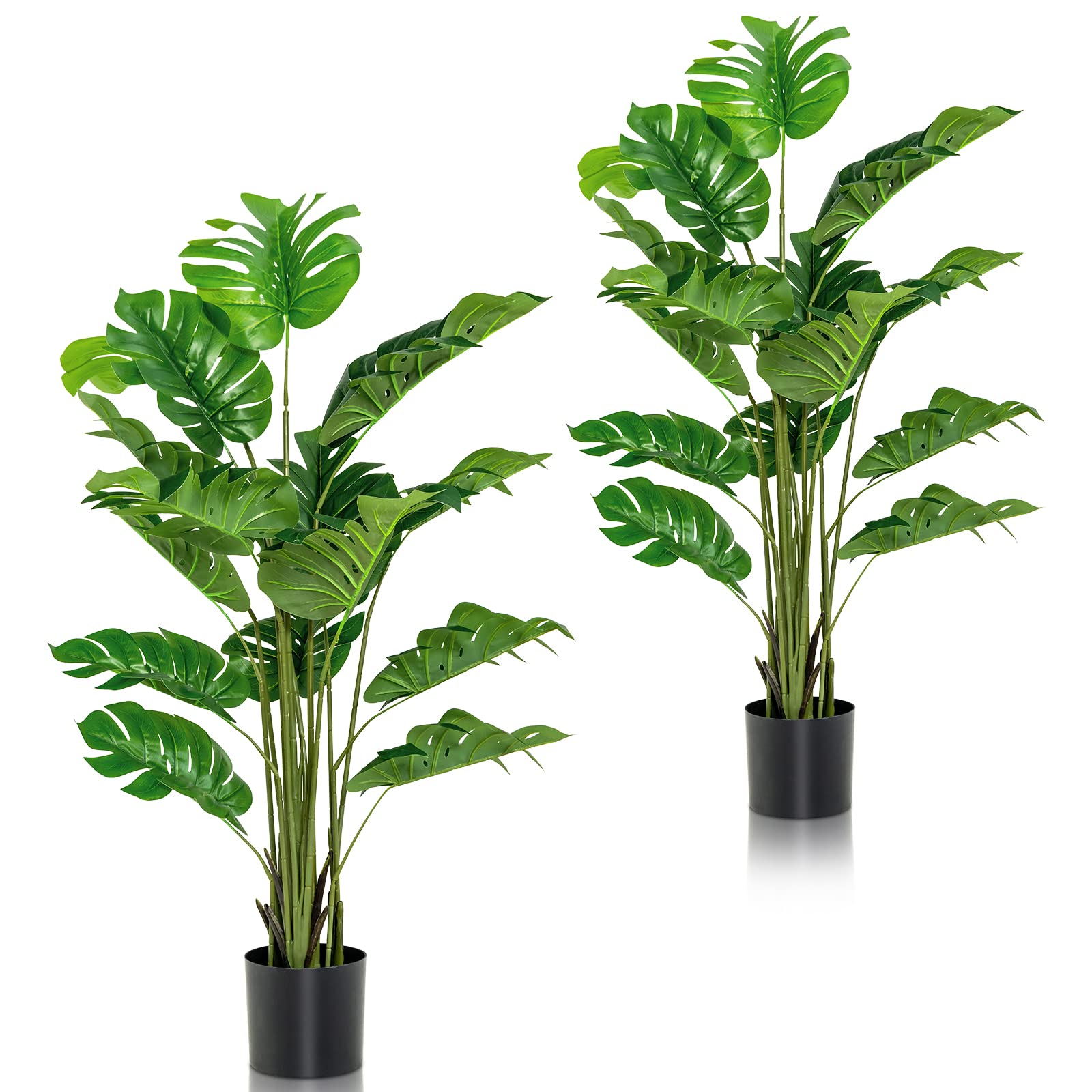 BestComfort Set of 2 Monstera Deliciosa Trees