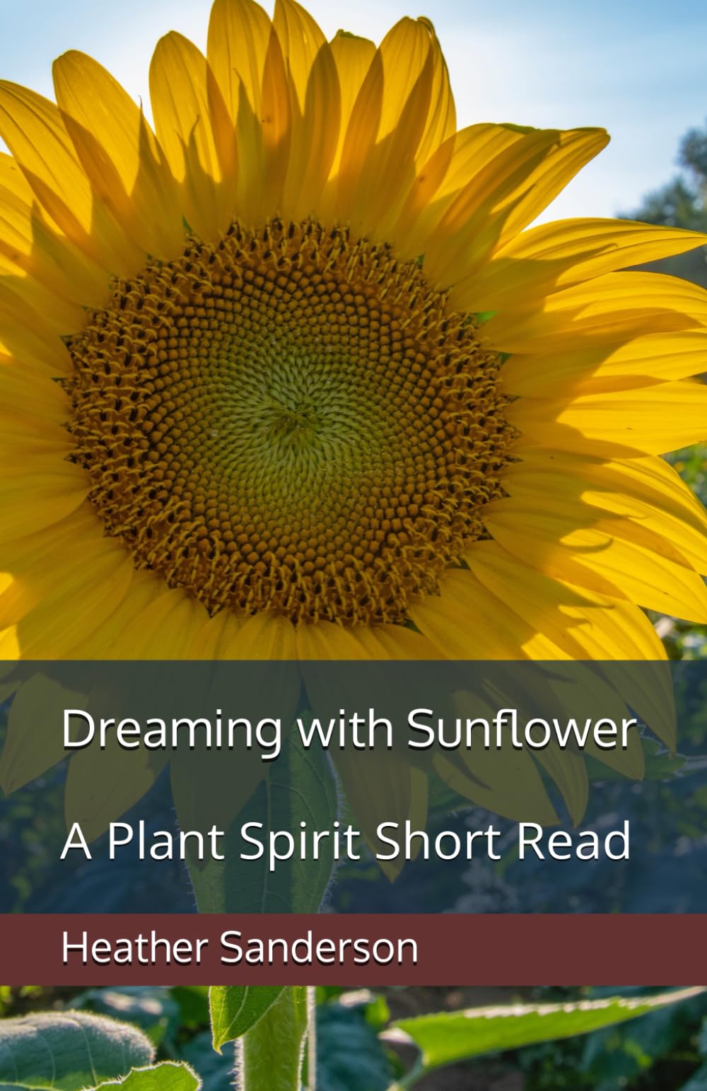 Dreaming with Sunflower: A Plant Spirit Short Read (Dreaming with the Plants)