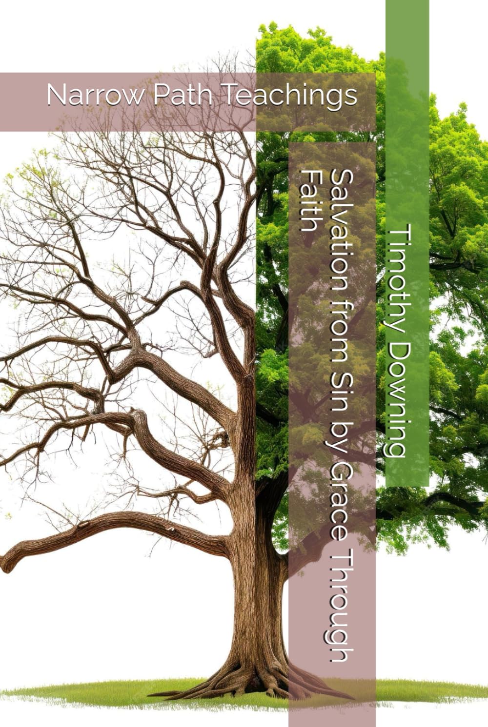 Salvation from Sin by Grace Through Faith (Narrow Path Teachings)