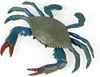 生物細密画（水彩）「シオマネキ」 Yahoo!オークション - 水彩画 生物細密画「ヤシガニ」 真作