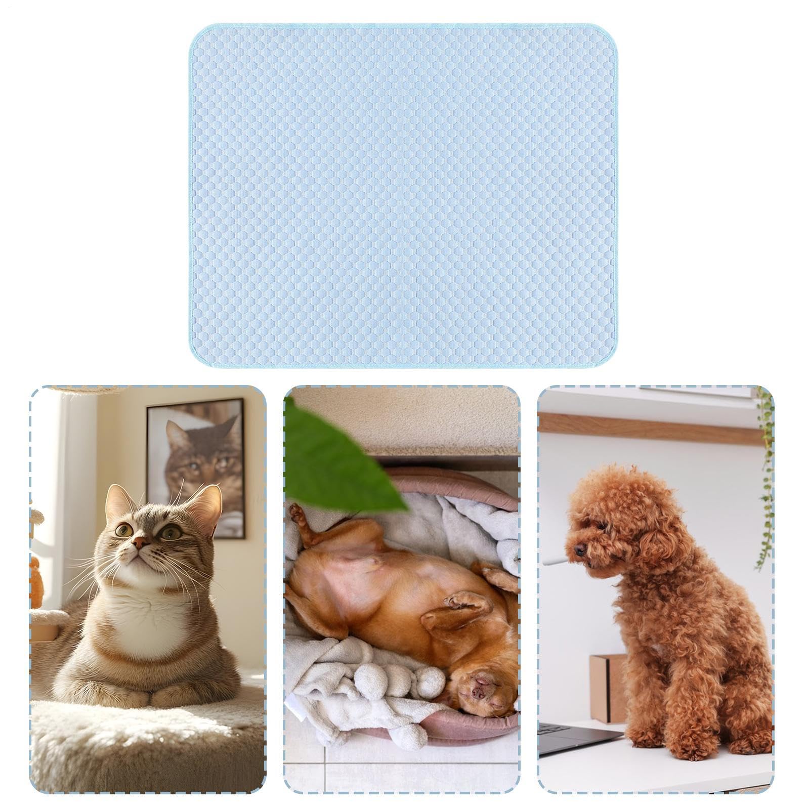 Generico Tappetino Refrigerante Cane Gatto - Materiale Seta Ghiaccio, Impermeabile (Taglie S/M/L) - Casa, Viaggio, Giardino - Design Arrotolabile